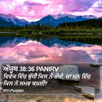 ਅੱਯੂਬ 38:36 PANIRV Bible Verse Image