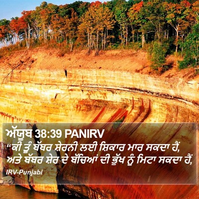 ਅੱਯੂਬ 38:39 PANIRV Bible Verse Image