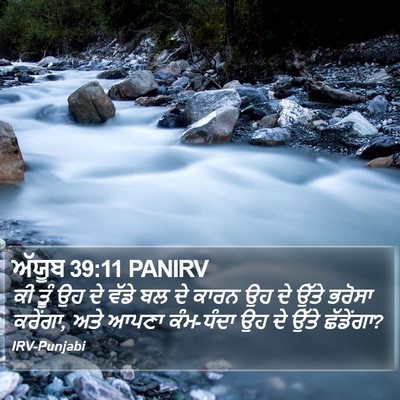 ਅੱਯੂਬ 39:11 PANIRV Bible Verse Image