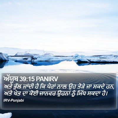 ਅੱਯੂਬ 39:15 PANIRV Bible Verse Image
