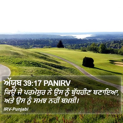 ਅੱਯੂਬ 39:17 PANIRV Bible Verse Image