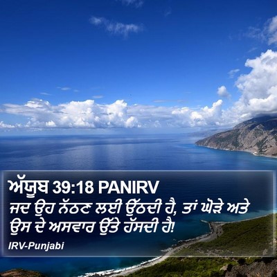 ਅੱਯੂਬ 39:18 PANIRV Bible Verse Image
