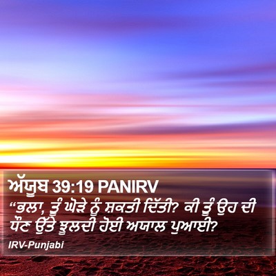 ਅੱਯੂਬ 39:19 PANIRV Bible Verse Image