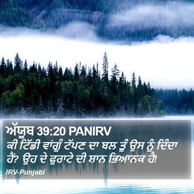 ਅੱਯੂਬ 39:20 PANIRV Bible Verse Image