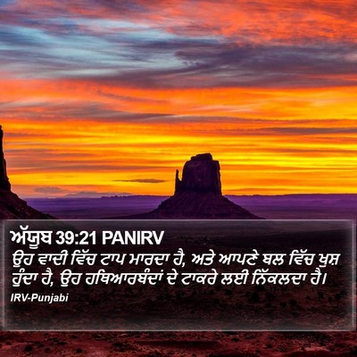 ਅੱਯੂਬ 39:21 PANIRV Bible Verse Image