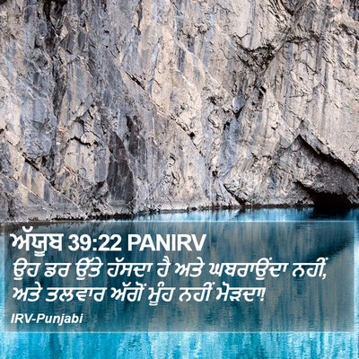 ਅੱਯੂਬ 39:22 PANIRV Bible Verse Image