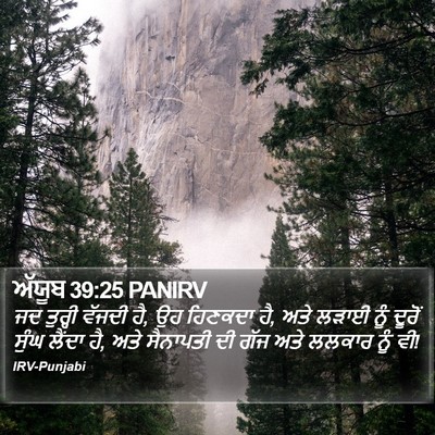 ਅੱਯੂਬ 39:25 PANIRV Bible Verse Image