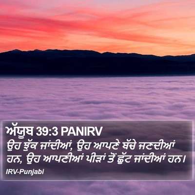 ਅੱਯੂਬ 39:3 PANIRV Bible Verse Image
