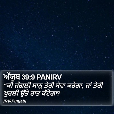 ਅੱਯੂਬ 39:9 PANIRV Bible Verse Image