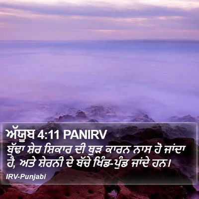 ਅੱਯੂਬ 4:11 PANIRV Bible Verse Image