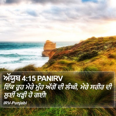 ਅੱਯੂਬ 4:15 PANIRV Bible Verse Image