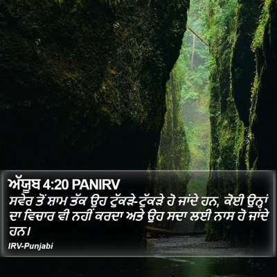 ਅੱਯੂਬ 4:20 PANIRV Bible Verse Image