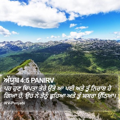 ਅੱਯੂਬ 4:5 PANIRV Bible Verse Image