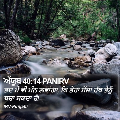 ਅੱਯੂਬ 40:14 PANIRV Bible Verse Image