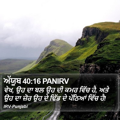 ਅੱਯੂਬ 40:16 PANIRV Bible Verse Image