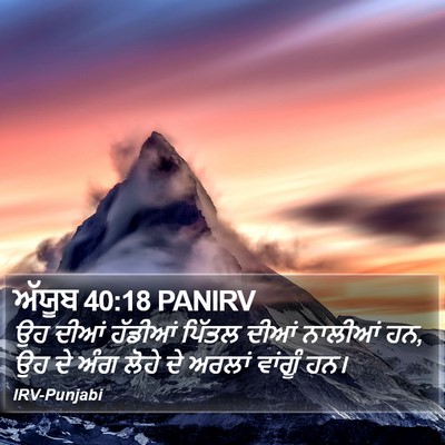 ਅੱਯੂਬ 40:18 PANIRV Bible Verse Image