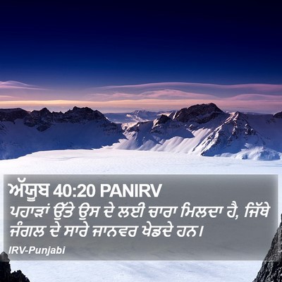 ਅੱਯੂਬ 40:20 PANIRV Bible Verse Image