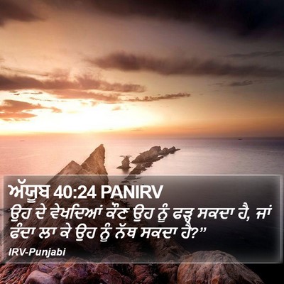 ਅੱਯੂਬ 40:24 PANIRV Bible Verse Image