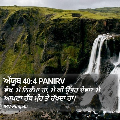 ਅੱਯੂਬ 40:4 PANIRV Bible Verse Image