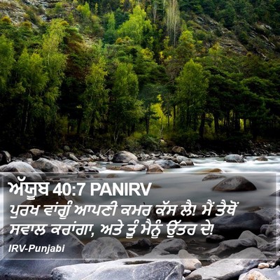ਅੱਯੂਬ 40:7 PANIRV Bible Verse Image