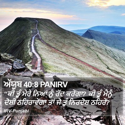 ਅੱਯੂਬ 40:8 PANIRV Bible Verse Image