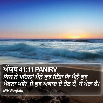 ਅੱਯੂਬ 41:11 PANIRV Bible Verse Image