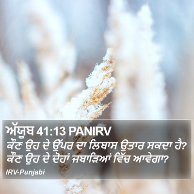 ਅੱਯੂਬ 41:13 PANIRV Bible Verse Image