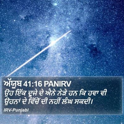 ਅੱਯੂਬ 41:16 PANIRV Bible Verse Image