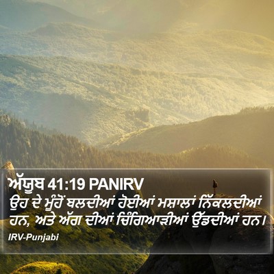 ਅੱਯੂਬ 41:19 PANIRV Bible Verse Image