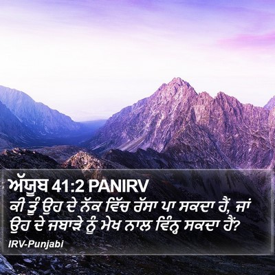 ਅੱਯੂਬ 41:2 PANIRV Bible Verse Image