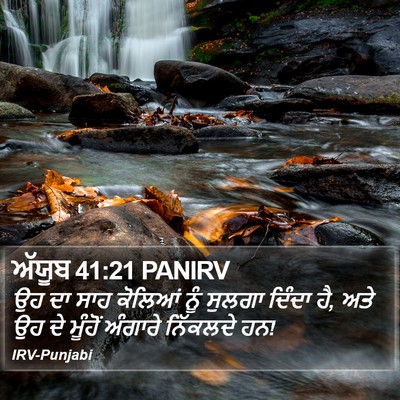 ਅੱਯੂਬ 41:21 PANIRV Bible Verse Image