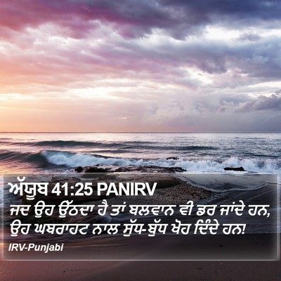 ਅੱਯੂਬ 41:25 PANIRV Bible Verse Image