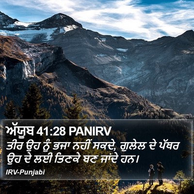 ਅੱਯੂਬ 41:28 PANIRV Bible Verse Image