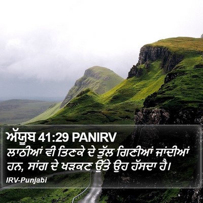 ਅੱਯੂਬ 41:29 PANIRV Bible Verse Image