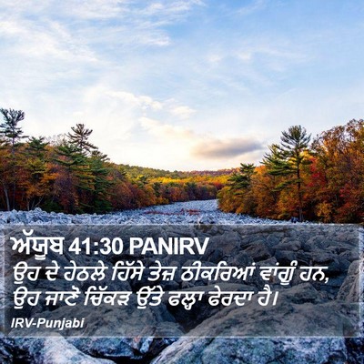 ਅੱਯੂਬ 41:30 PANIRV Bible Verse Image