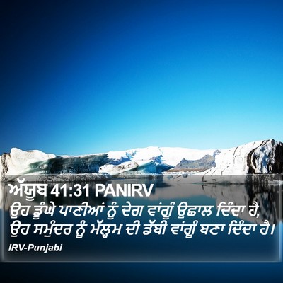 ਅੱਯੂਬ 41:31 PANIRV Bible Verse Image