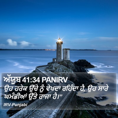 ਅੱਯੂਬ 41:34 PANIRV Bible Verse Image