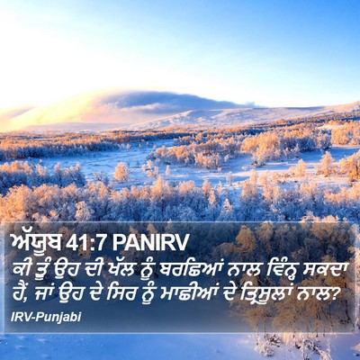 ਅੱਯੂਬ 41:7 PANIRV Bible Verse Image