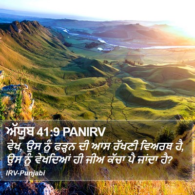 ਅੱਯੂਬ 41:9 PANIRV Bible Verse Image
