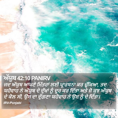 ਅੱਯੂਬ 42:10 PANIRV Bible Verse Image