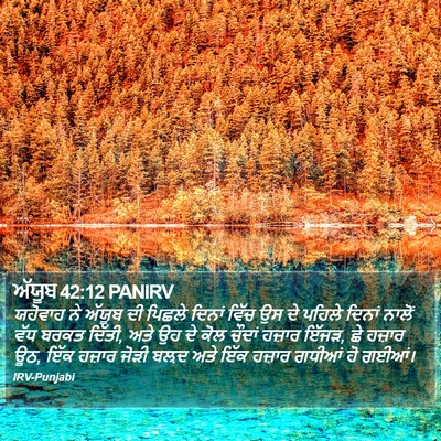 ਅੱਯੂਬ 42:12 PANIRV Bible Verse Image