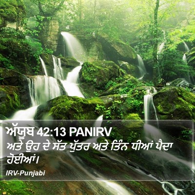 ਅੱਯੂਬ 42:13 PANIRV Bible Verse Image