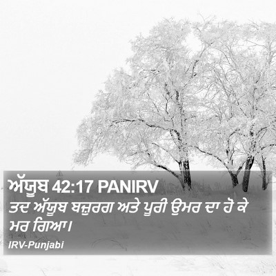 ਅੱਯੂਬ 42:17 PANIRV Bible Verse Image