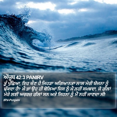 ਅੱਯੂਬ 42:3 PANIRV Bible Verse Image