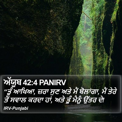 ਅੱਯੂਬ 42:4 PANIRV Bible Verse Image