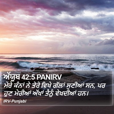 ਅੱਯੂਬ 42:5 PANIRV Bible Verse Image