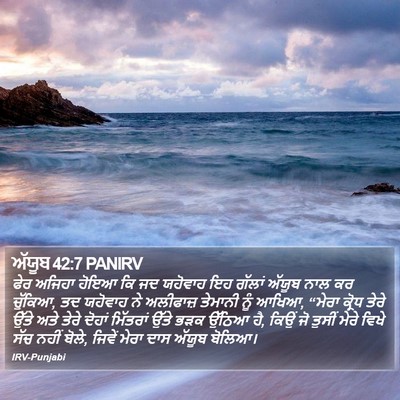 ਅੱਯੂਬ 42:7 PANIRV Bible Verse Image