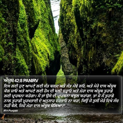 ਅੱਯੂਬ 42:8 PANIRV Bible Verse Image