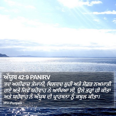 ਅੱਯੂਬ 42:9 PANIRV Bible Verse Image