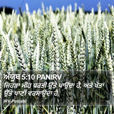 ਅੱਯੂਬ 5:10 PANIRV Bible Verse Image